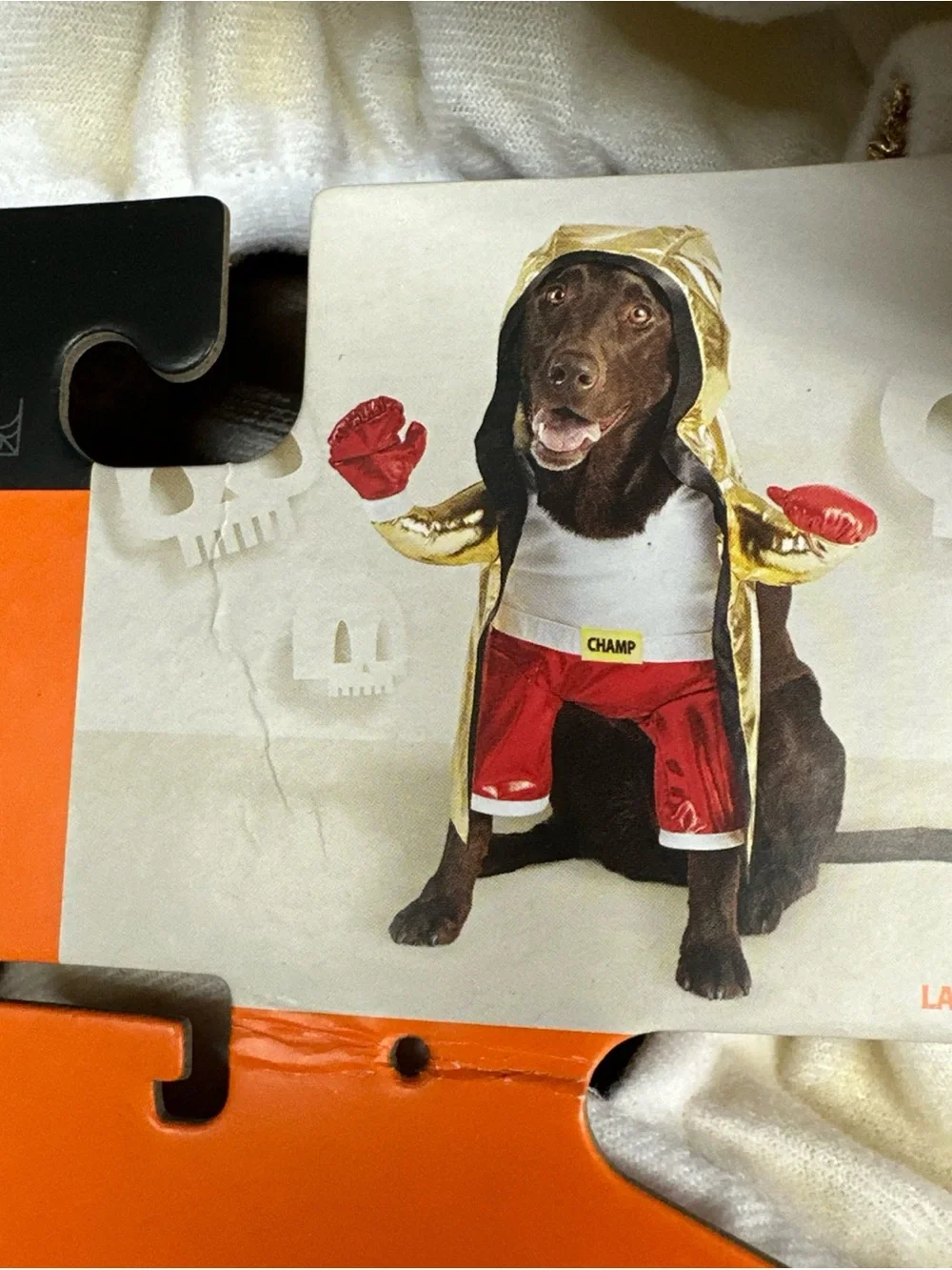 Boxing Champ Frontal Halloween Dog Costume Size L